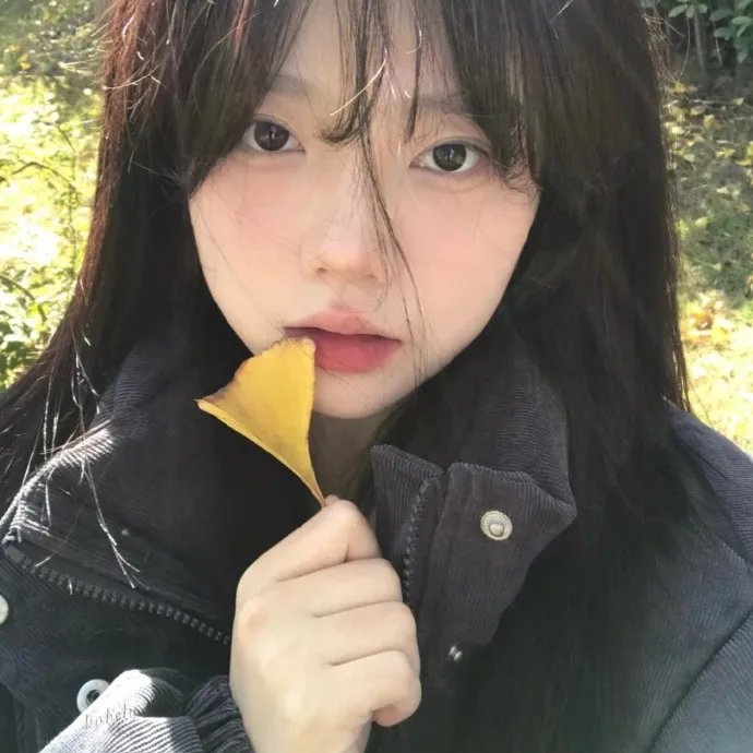 休战协定